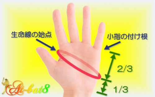 バッティンググローブのサイズ